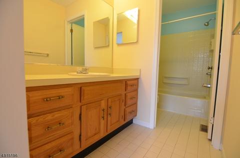 44 Pine Ct, Bedminster, NJ 07921 photo 10
