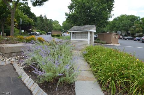 44 Pine Ct, Bedminster, NJ 07921 photo 14