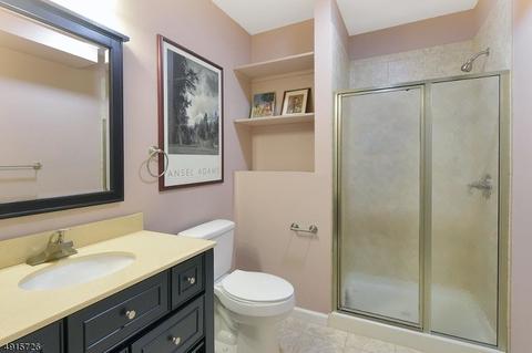 22 E Logan Rd, Randolph, NJ 07869 photo 23