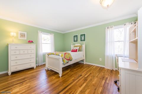 15 Summit Rd, Brookside, NJ 07926 photo 21