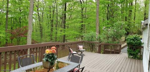 15 Summit Rd, Brookside, NJ 07926 photo 24