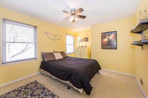 15 Summit Rd, Brookside, NJ 07926 photo 20