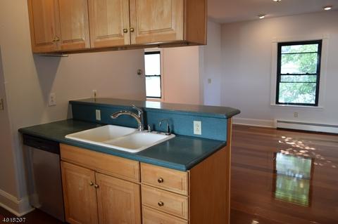113 W Maple Ave, Bound Brook, NJ 08805 photo 13