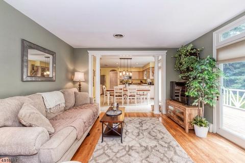 101 Robins Ct, Hackettstown, NJ 07840 photo 6