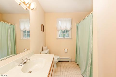 101 Robins Ct, Hackettstown, NJ 07840 photo 18