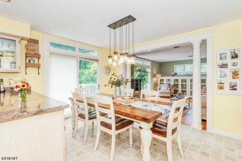 101 Robins Ct, Hackettstown, NJ 07840 photo 8