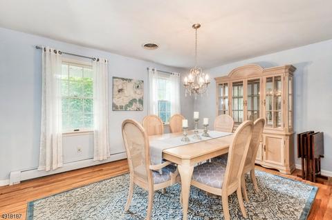 101 Robins Ct, Hackettstown, NJ 07840 photo 4