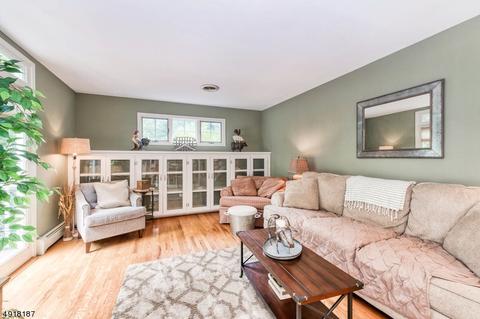 101 Robins Ct, Hackettstown, NJ 07840 photo 5