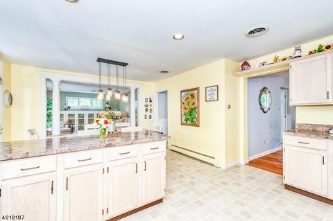 101 Robins Ct, Hackettstown, NJ 07840 photo 10