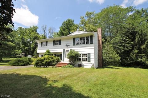 4 Bartles Ln, Flemington, NJ 08822 photo 1