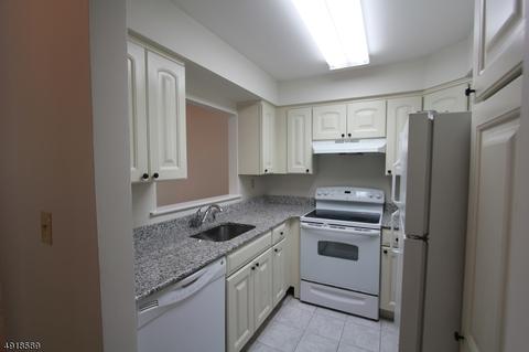 1 Ray Ct, Bedminster, NJ 07921 photo 7