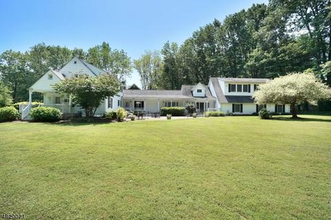 20 Halstead Rd, Mendham, NJ 07945 photo 1