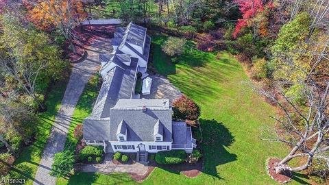 20 Halstead Rd, Mendham, NJ 07945 photo 23