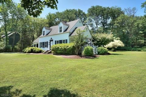 20 Halstead Rd, Mendham, NJ 07945 photo 2