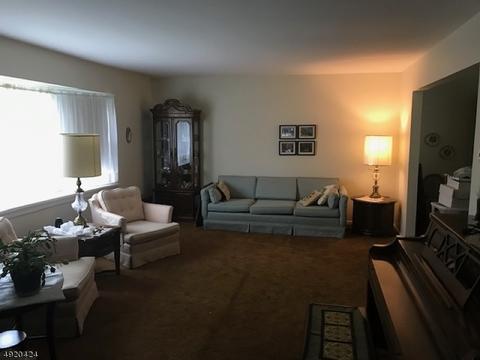 817 E Meadow Dr, Bound Brook, NJ 08805 photo 6