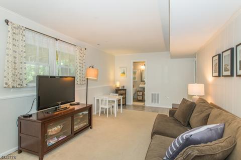22 Ash Ln, Randolph, NJ 07869 photo 20