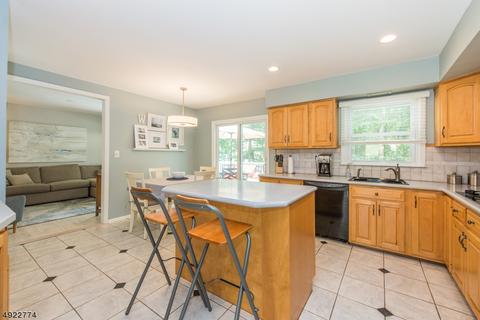 22 Ash Ln, Randolph, NJ 07869 photo 5