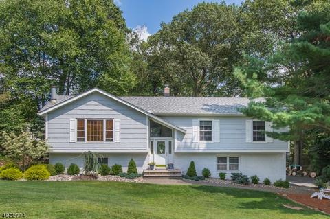 22 Ash Ln, Randolph, NJ 07869 photo 1
