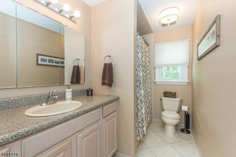 22 Ash Ln, Randolph, NJ 07869 photo 16