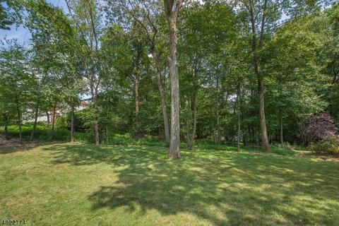22 Ash Ln, Randolph, NJ 07869 photo 25