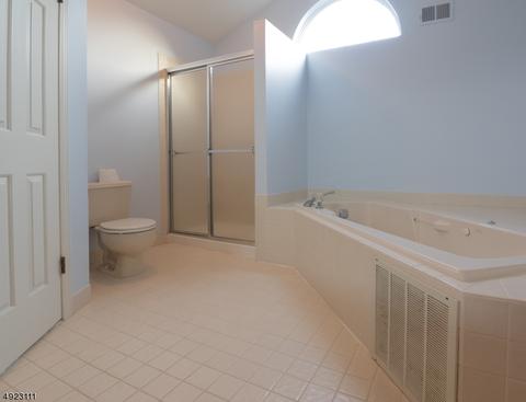 175 Aster Ct, Whitehouse Station, NJ 08889 photo 13
