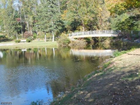 12 Mountainside Rd, Mendham, NJ 07945 photo 22