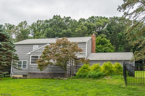 12 Mountainside Rd, Mendham, NJ 07945 photo 18
