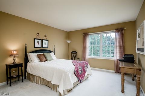 3 Arrowhead Ct, Montgomery, NJ 08558 photo 19
