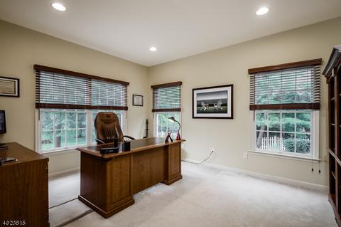3 Arrowhead Ct, Montgomery, NJ 08558 photo 14
