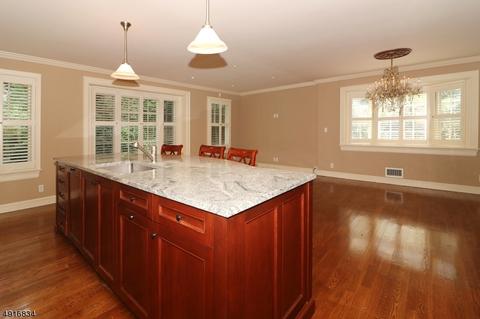 17 Hill Crest Ave, Summit, NJ 07901 photo 7