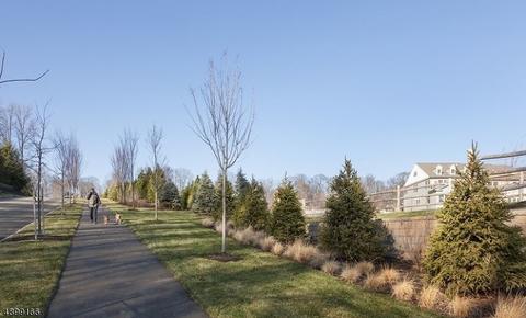 5 Brompton Pl, Randolph, NJ 07869 photo 25