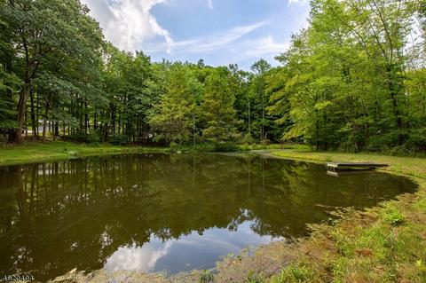 30 Snover Rd, Wantage, NJ 07461 photo 20