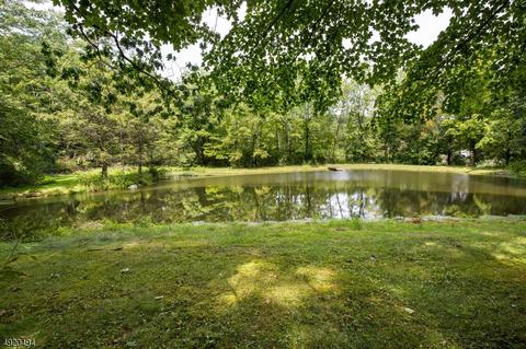 30 Snover Rd, Wantage, NJ 07461 photo 21