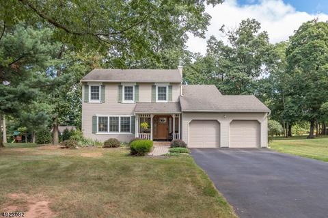 8 Hackberry Pl, Flemington, NJ 08822 photo 1