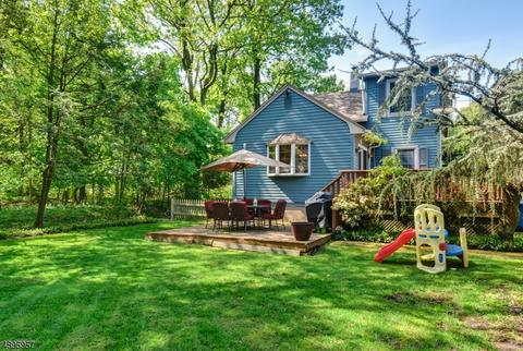 1007 Locust Ave, Plainfield, NJ 07060 photo 11