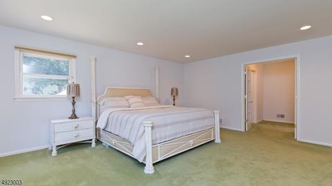 40 Branko Rd, Berkeley Heights, NJ 07922 photo 20