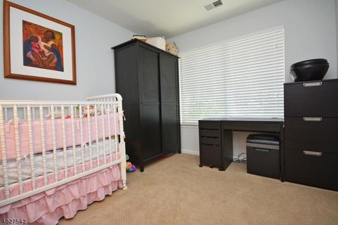 7 Pine Ct, Bedminster, NJ 07921 photo 13