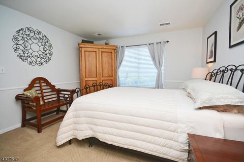 7 Pine Ct, Bedminster, NJ 07921 photo 16