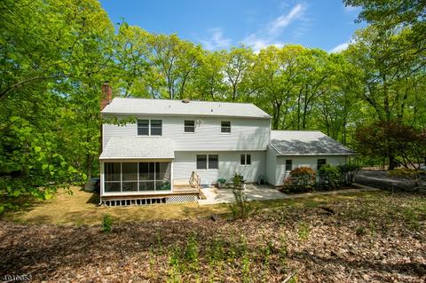 977 Rector Rd, Bridgewater, NJ 08807 photo 19