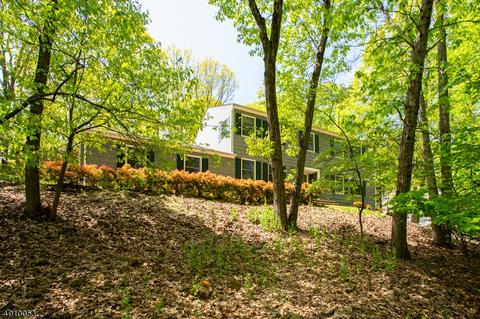 977 Rector Rd, Bridgewater, NJ 08807 photo 2
