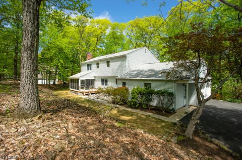 977 Rector Rd, Bridgewater, NJ 08807 photo 18