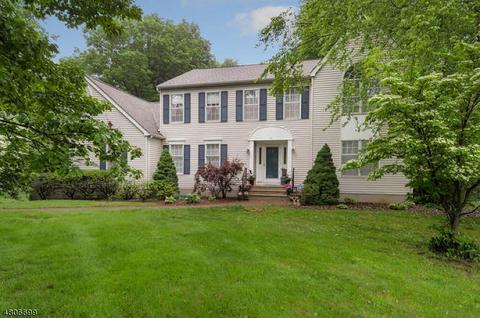 10 Memory Ln, Randolph, NJ 07869 photo 1