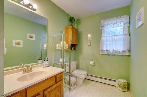 10 Memory Ln, Randolph, NJ 07869 photo 13