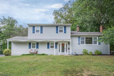 118 Webster Dr, Wayne, NJ 07470 photo 1