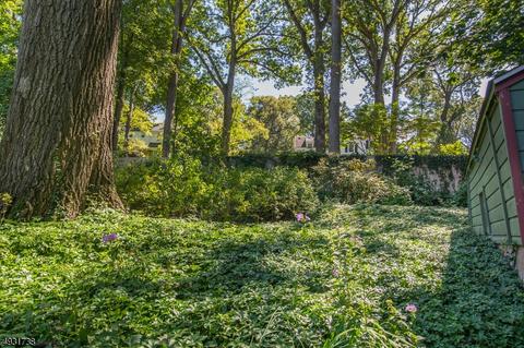 78 Mountain Ave, Summit, NJ 07901 photo 25