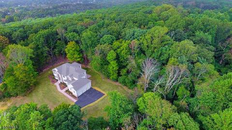 16 Waterfall Dr, Mendham, NJ 07945 photo 3