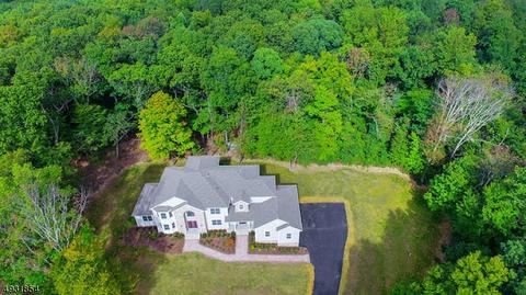 16 Waterfall Dr, Mendham, NJ 07945 photo 2
