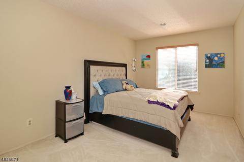903 Park Pl, Springfield, NJ 07081 photo 13