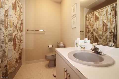 903 Park Pl, Springfield, NJ 07081 photo 15