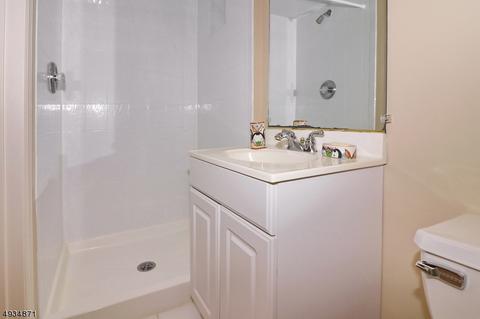 903 Park Pl, Springfield, NJ 07081 photo 16